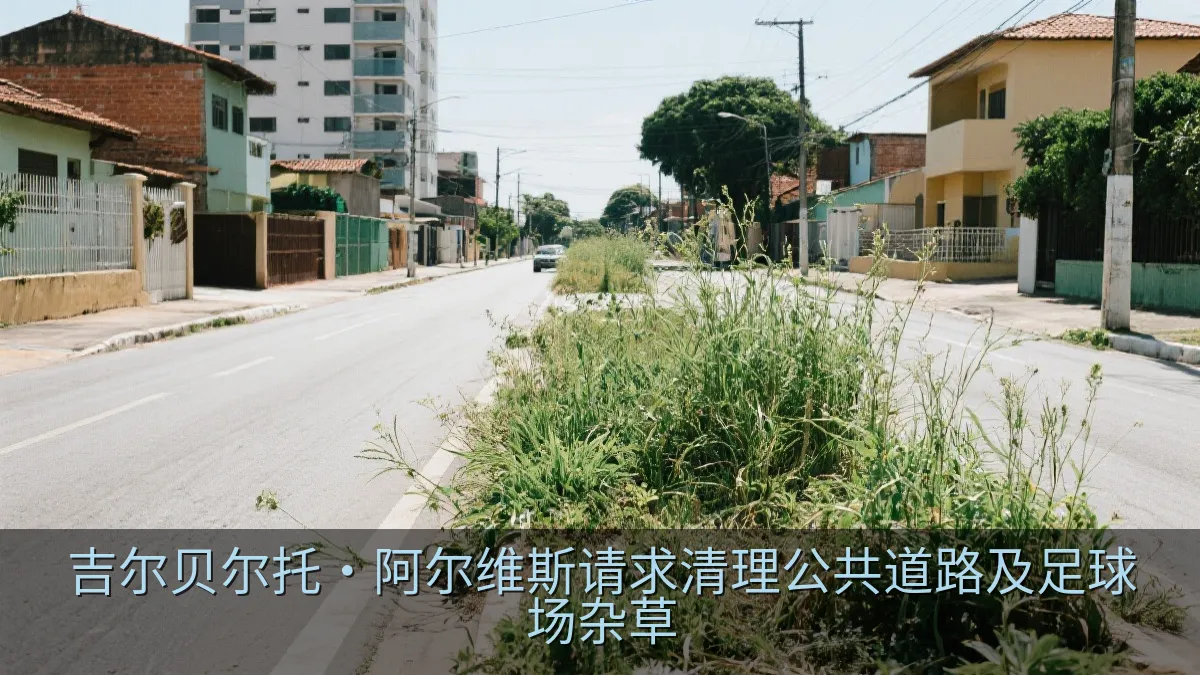 吉尔贝尔托·阿尔维斯请求清理公共道路及足球场杂草